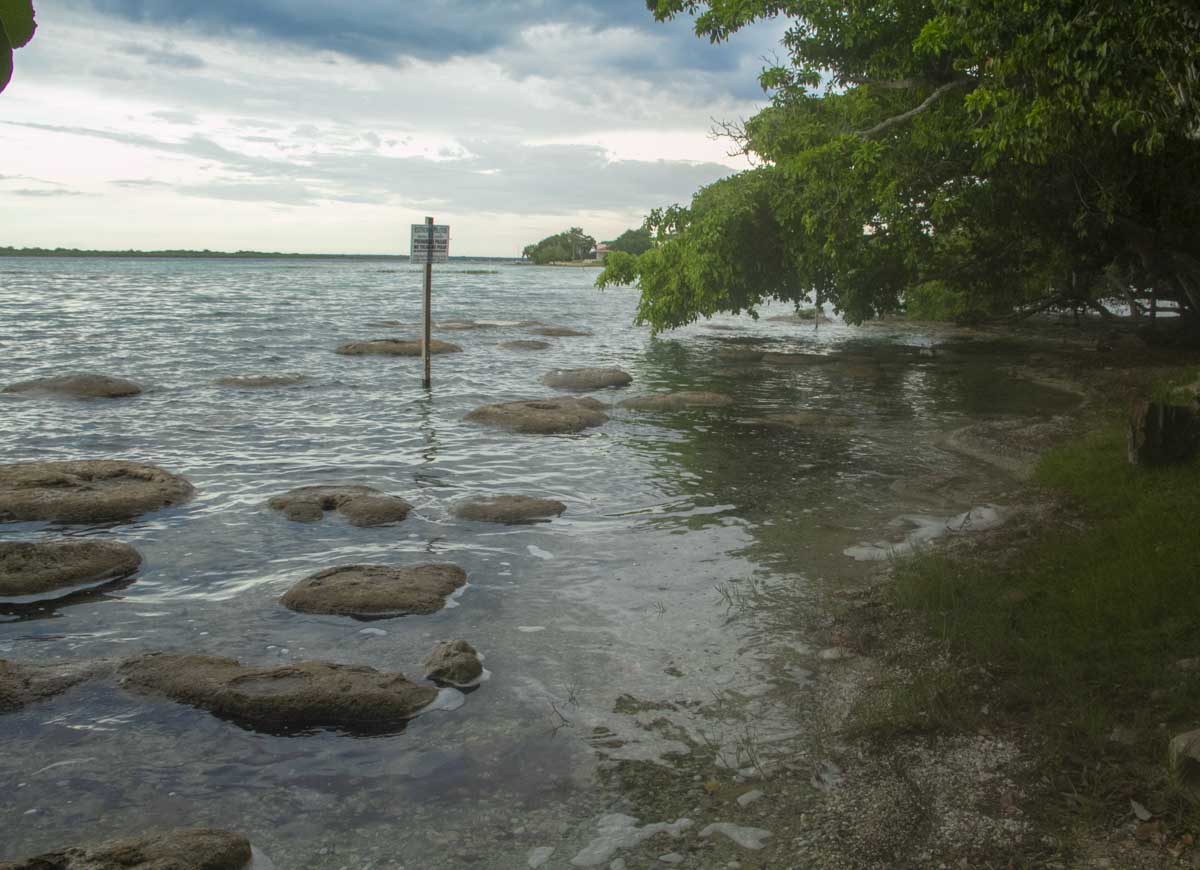 cuidar la laguna