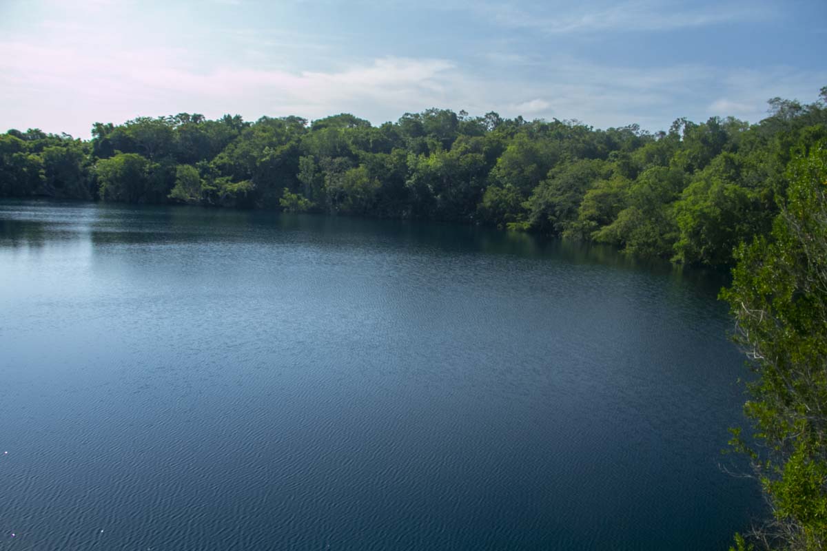 cuidar la laguna