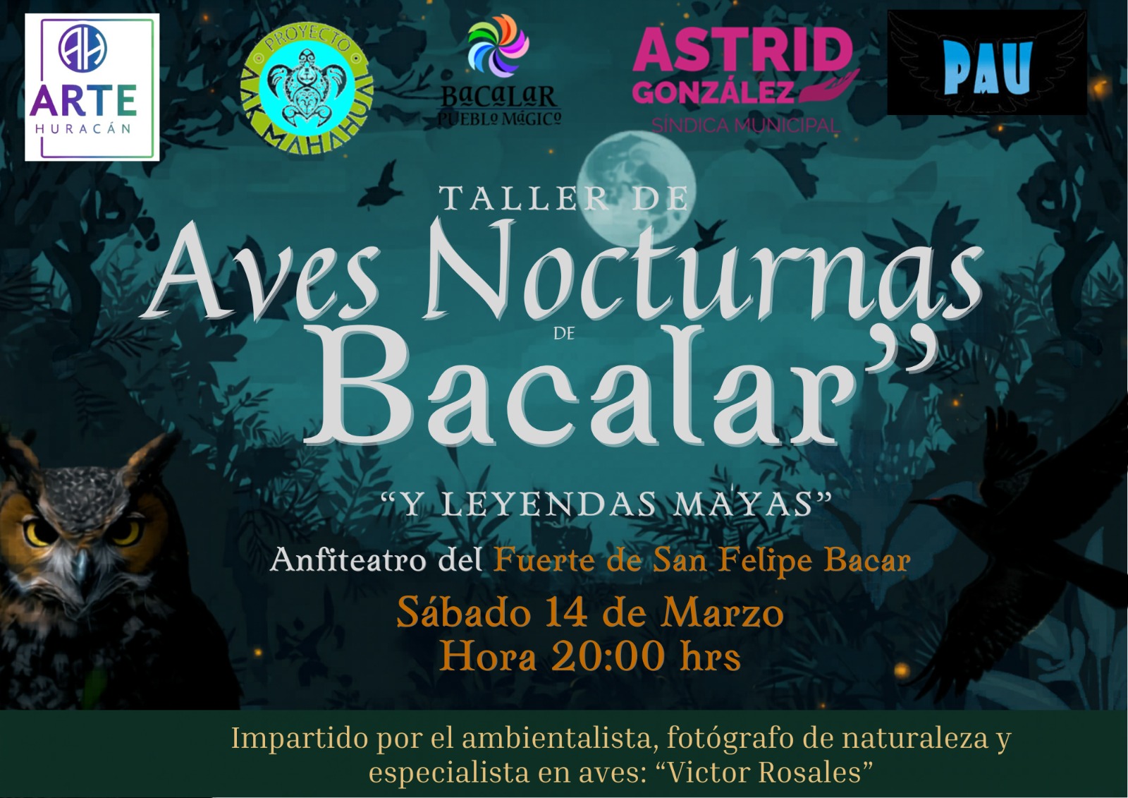 Taller de la Aves Nocturnas locales